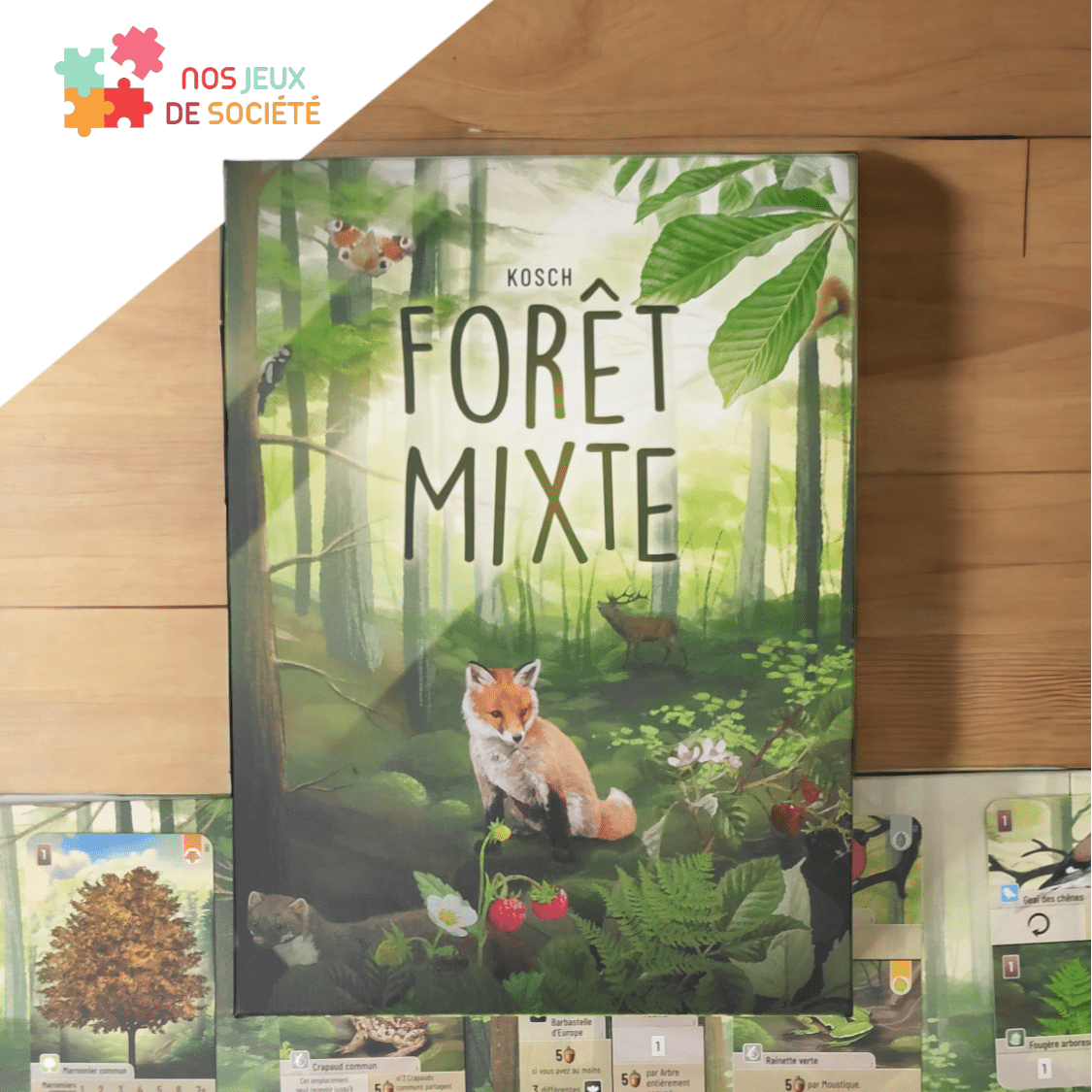 Forêt Mixte - C'est le jeu