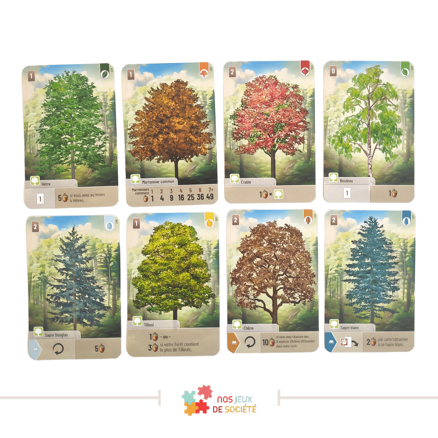 Mixte Forêt Mixte : Test, avis et conseils pour jouer.