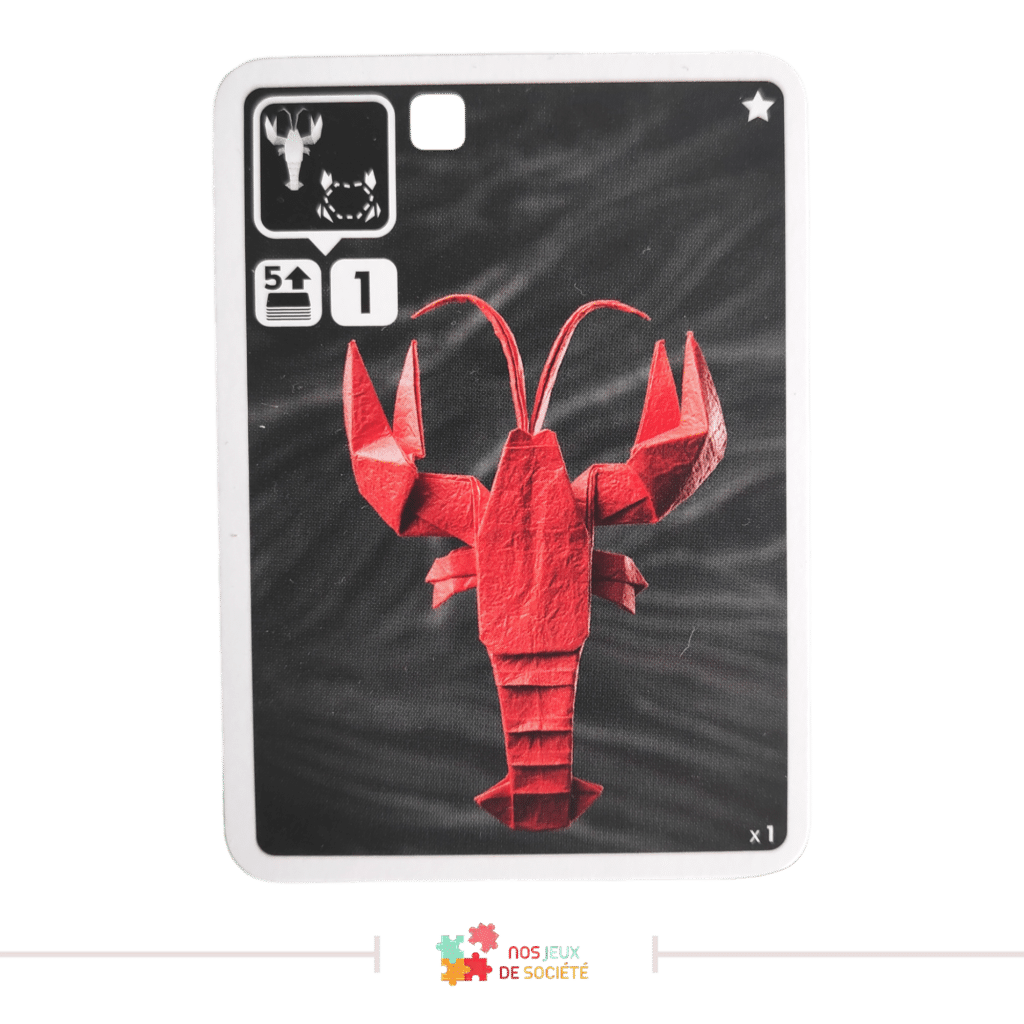 sea salt Paper - extension carte homard