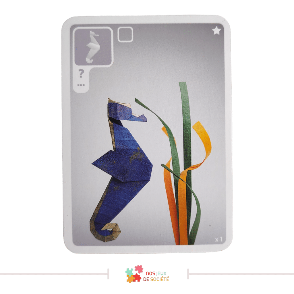 carte hippocampe de l'extension extra salt