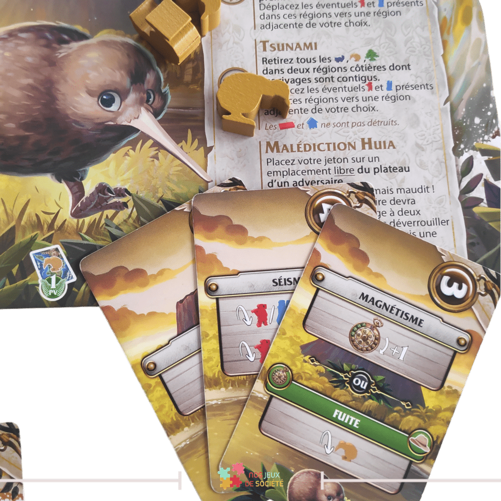 kauri kiwi